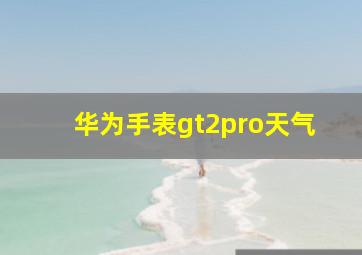 华为手表gt2pro天气