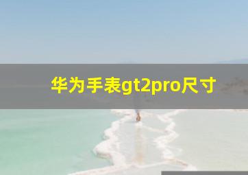 华为手表gt2pro尺寸