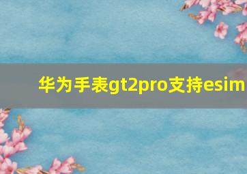 华为手表gt2pro支持esim