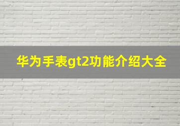 华为手表gt2功能介绍大全