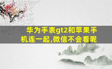 华为手表gt2和苹果手机连一起,微信不会看呢