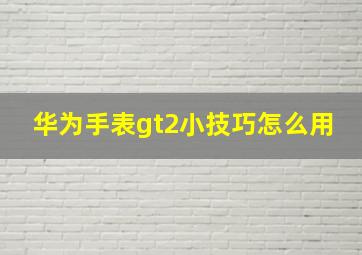 华为手表gt2小技巧怎么用