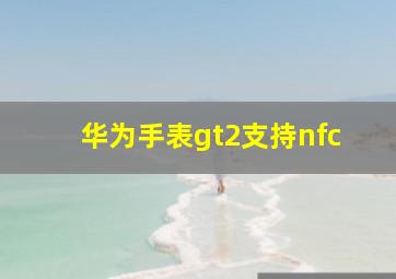 华为手表gt2支持nfc