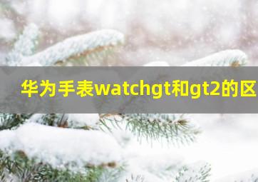 华为手表watchgt和gt2的区别