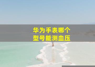 华为手表哪个型号能测血压