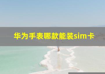 华为手表哪款能装sim卡