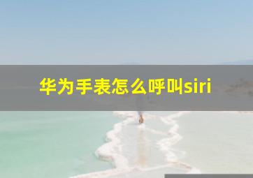 华为手表怎么呼叫siri