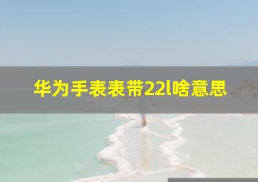 华为手表表带22l啥意思