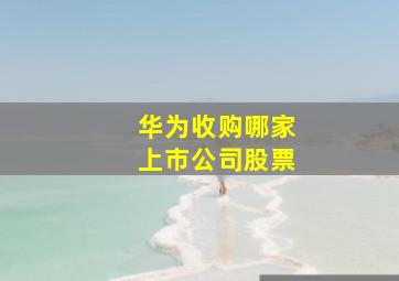 华为收购哪家上市公司股票