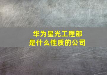 华为星光工程部是什么性质的公司