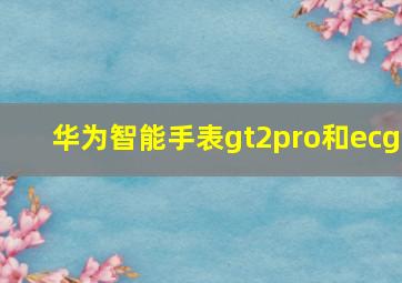 华为智能手表gt2pro和ecg