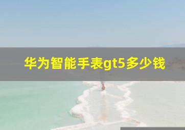 华为智能手表gt5多少钱