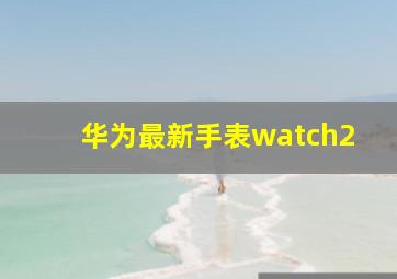 华为最新手表watch2