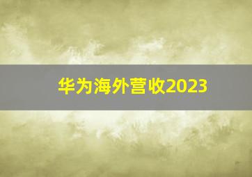 华为海外营收2023