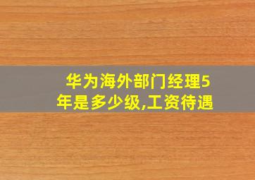 华为海外部门经理5年是多少级,工资待遇