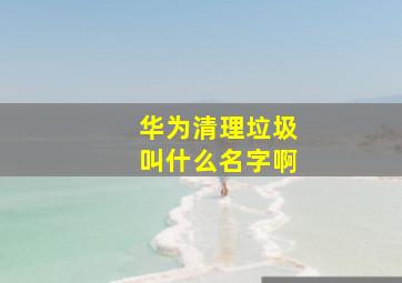 华为清理垃圾叫什么名字啊