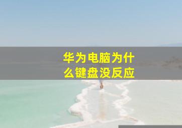 华为电脑为什么键盘没反应