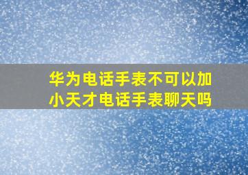 华为电话手表不可以加小天才电话手表聊天吗