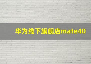 华为线下旗舰店mate40