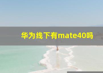 华为线下有mate40吗