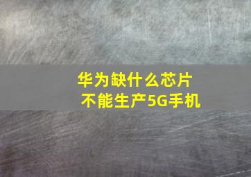 华为缺什么芯片不能生产5G手机