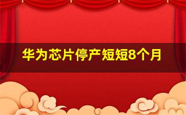 华为芯片停产短短8个月