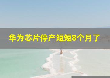 华为芯片停产短短8个月了