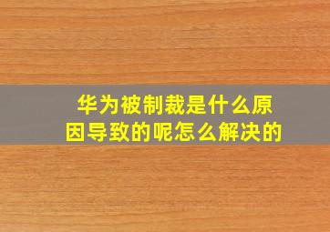 华为被制裁是什么原因导致的呢怎么解决的