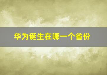 华为诞生在哪一个省份