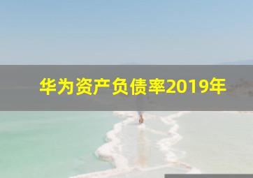 华为资产负债率2019年