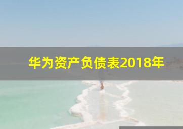 华为资产负债表2018年