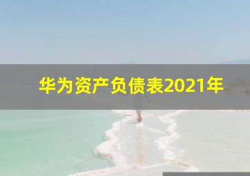 华为资产负债表2021年