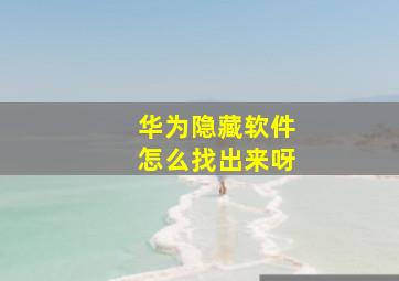 华为隐藏软件怎么找出来呀