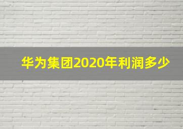 华为集团2020年利润多少