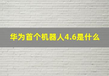 华为首个机器人4.6是什么