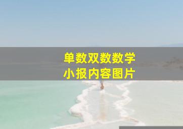 单数双数数学小报内容图片