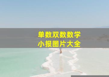 单数双数数学小报图片大全