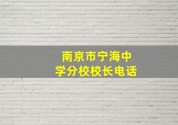 南京市宁海中学分校校长电话