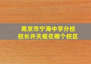 南京市宁海中学分校校长许天枢在哪个校区