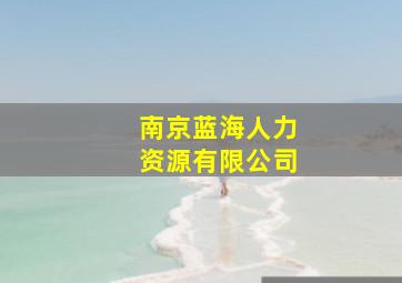 南京蓝海人力资源有限公司