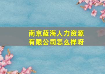 南京蓝海人力资源有限公司怎么样呀