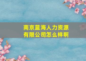 南京蓝海人力资源有限公司怎么样啊