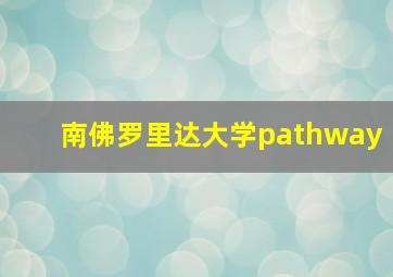 南佛罗里达大学pathway