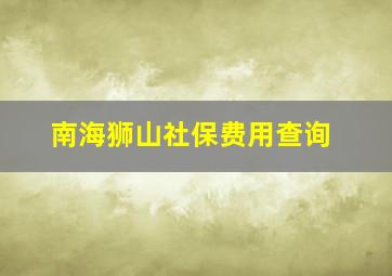 南海狮山社保费用查询