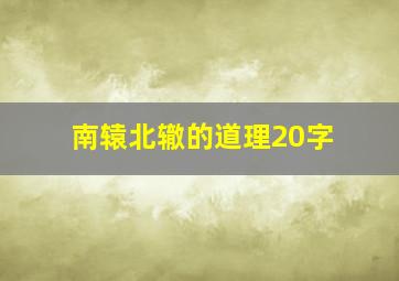 南辕北辙的道理20字