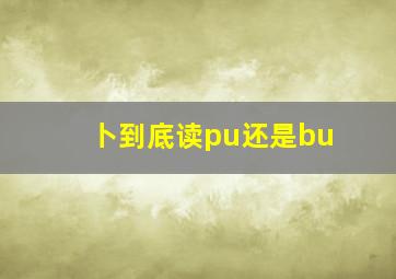 卜到底读pu还是bu