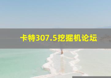 卡特307.5挖掘机论坛