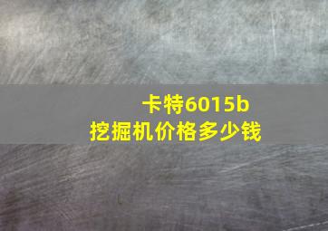 卡特6015b挖掘机价格多少钱