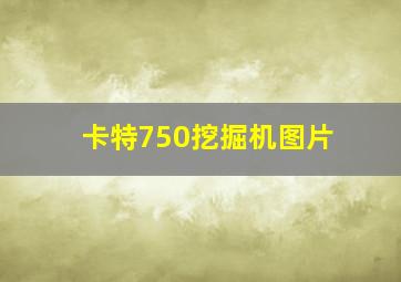 卡特750挖掘机图片