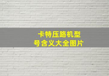 卡特压路机型号含义大全图片